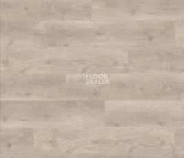 Ламинат Haro Tritty 100 Campus 4V ДУБ БЕРГАМО СЕРЕБРЯНО-СЕРЫЙ 538748 фото 1 | FLOORDEALER